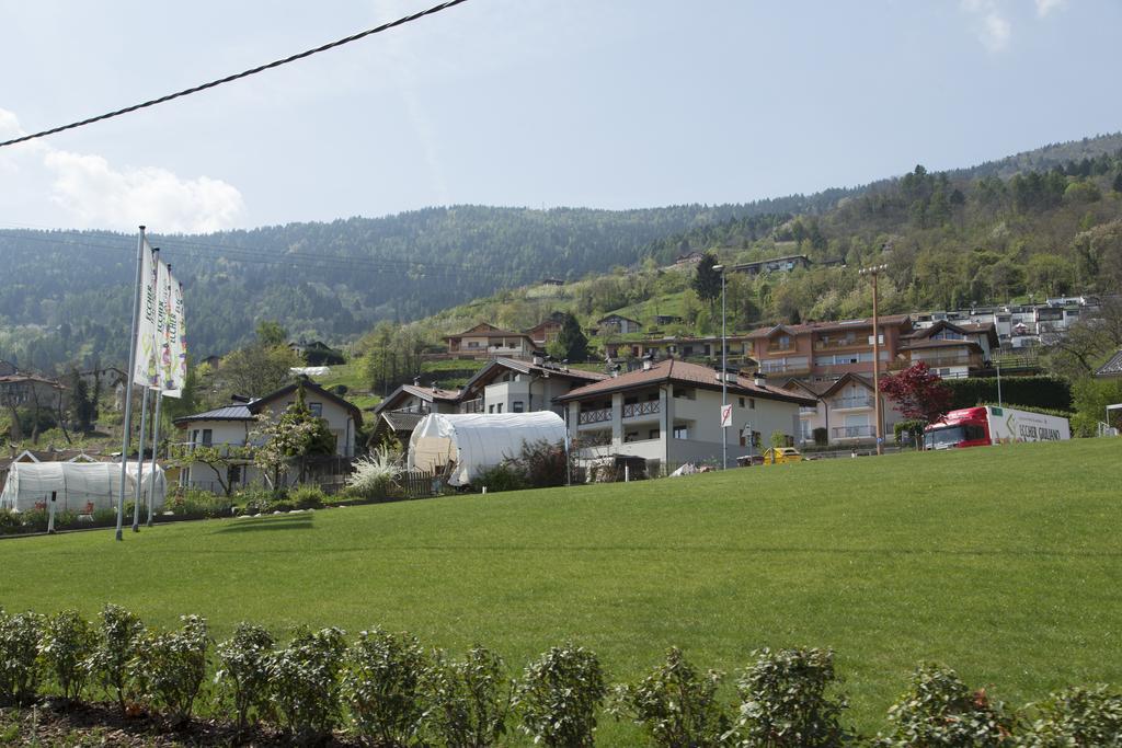 La Terrazza Sul Lago Pergine Valsugana Eksteriør bilde